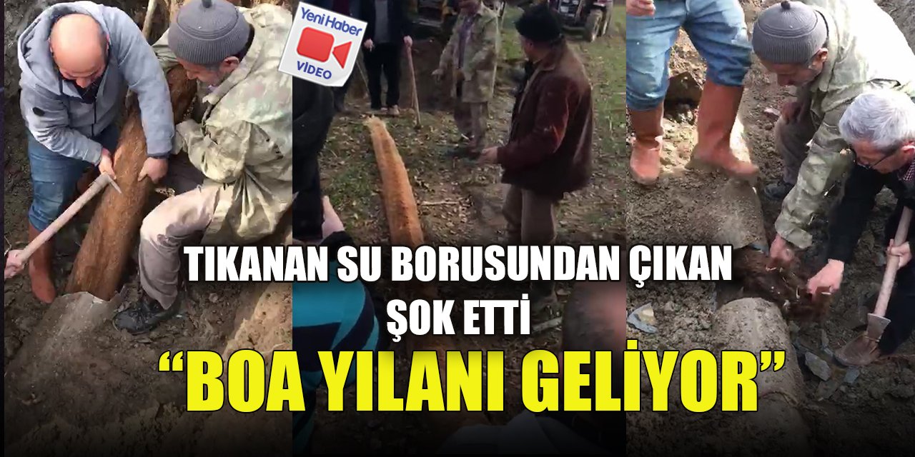 Tıkanan su borusundan çıkan şok etti  “Boa yılanı geliyor” diye bağırdılar