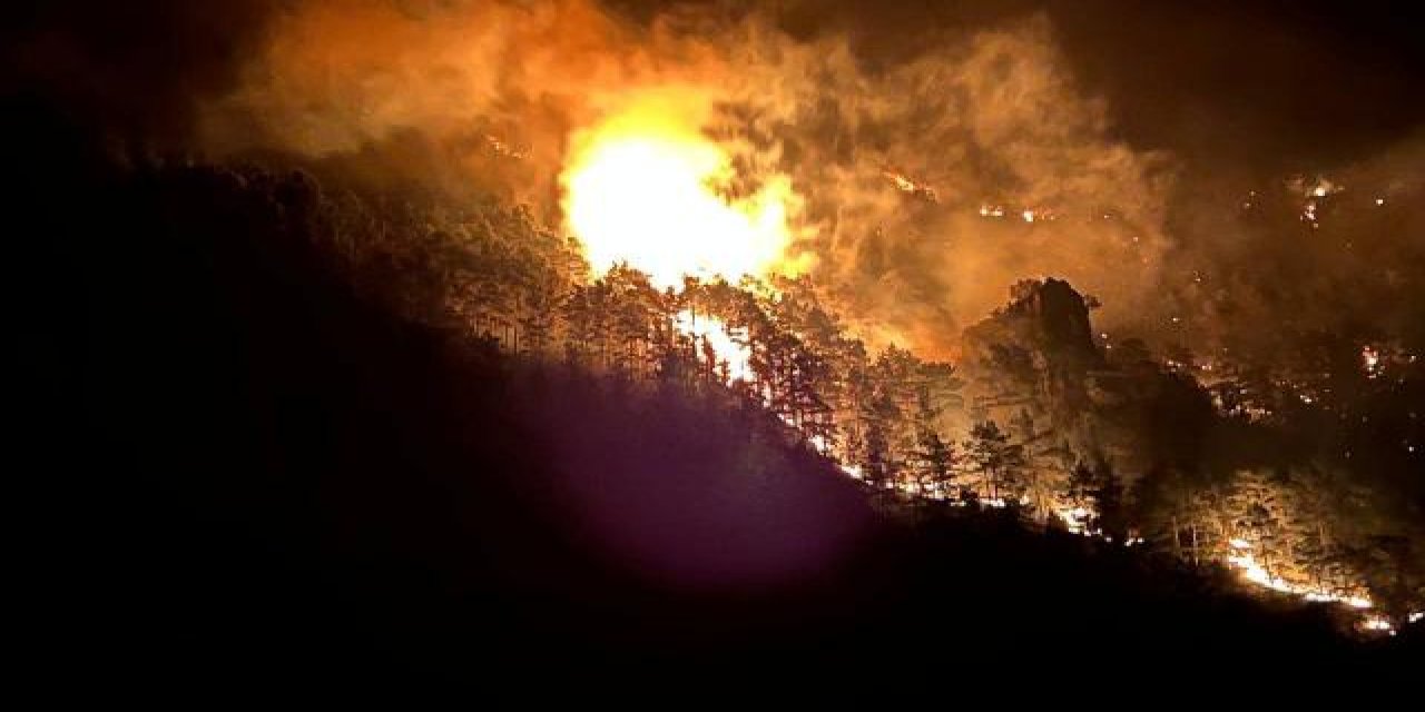 Alanya'da orman yangını: Müdahale ediliyor