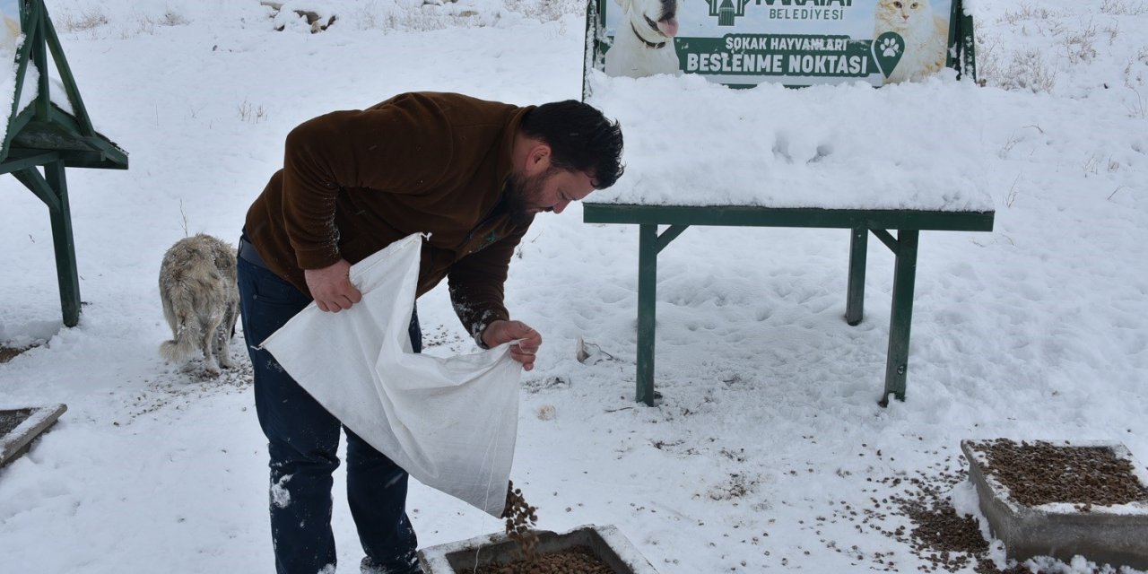 Konya'da kar yağışı sonrası sokak hayvanları unutulmadı