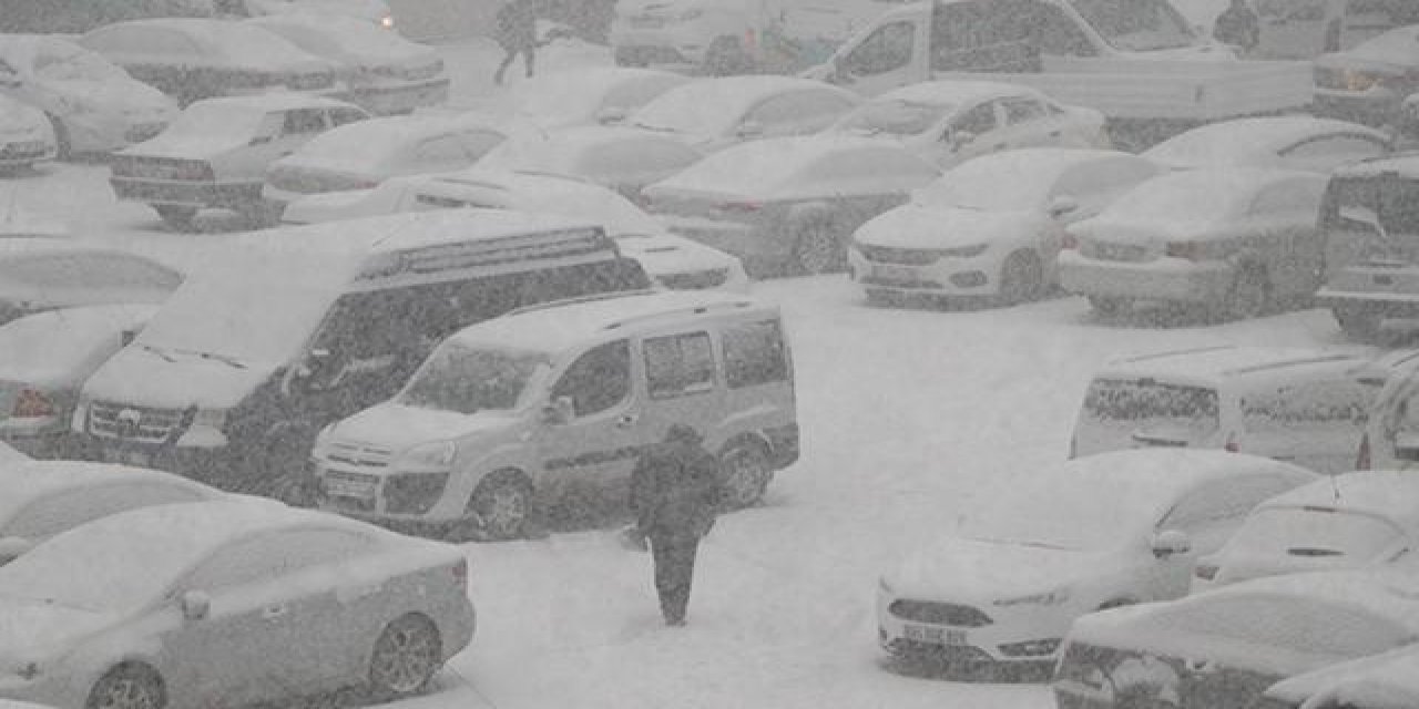 Van'da kar ve sis hayatı olumsuz etkiledi