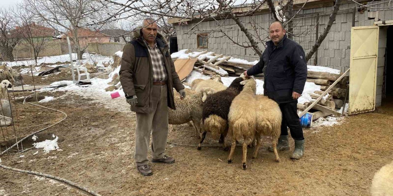 Konya'da 16 koyunu satarak parasını depremzedelere gönderdiler