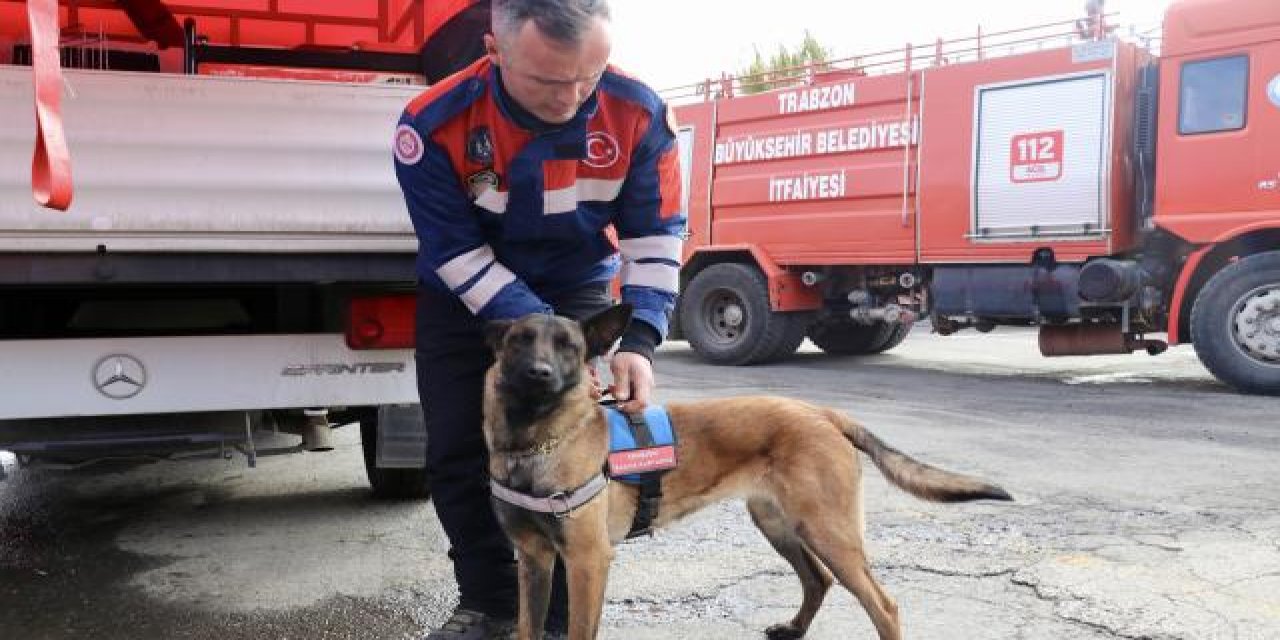 Arama kurtarma köpeği 'Rita', enkazdan 4 'can' kurtardı