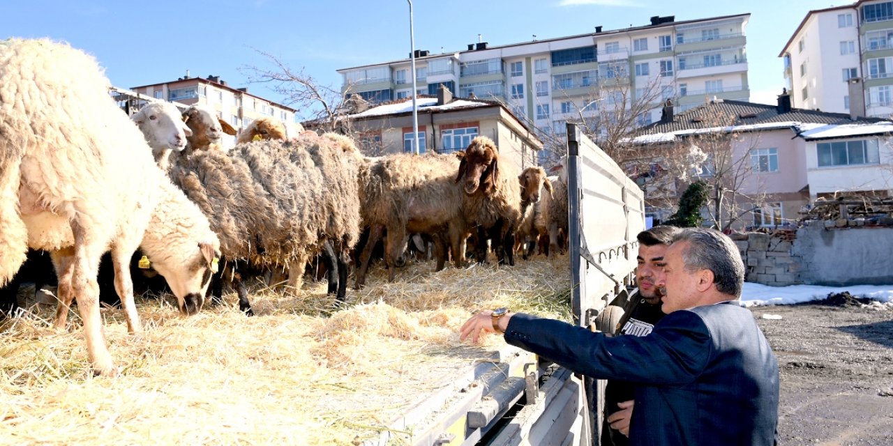 Konya'dan Gaziantep'teki depremzedelere küçükbaş hayvan desteği