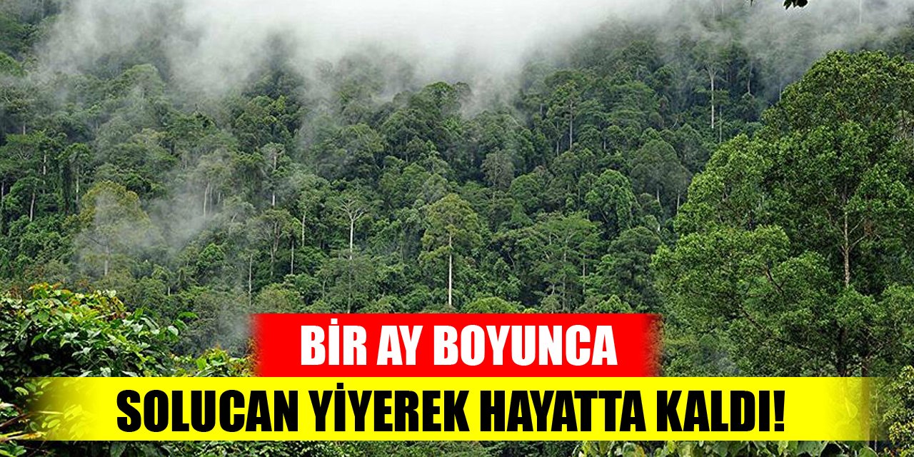 Bir ay boyunca solucan yiyerek hayatta kaldı!