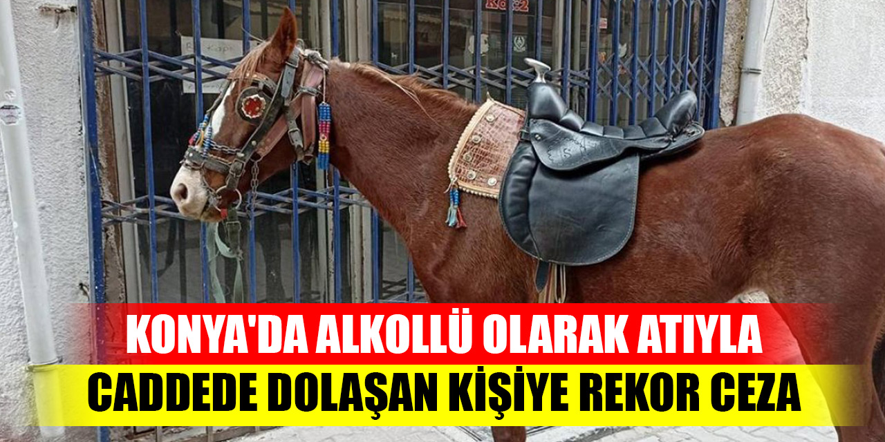 Konya'da alkollü olarak atıyla caddede dolaşan kişiye rekor ceza