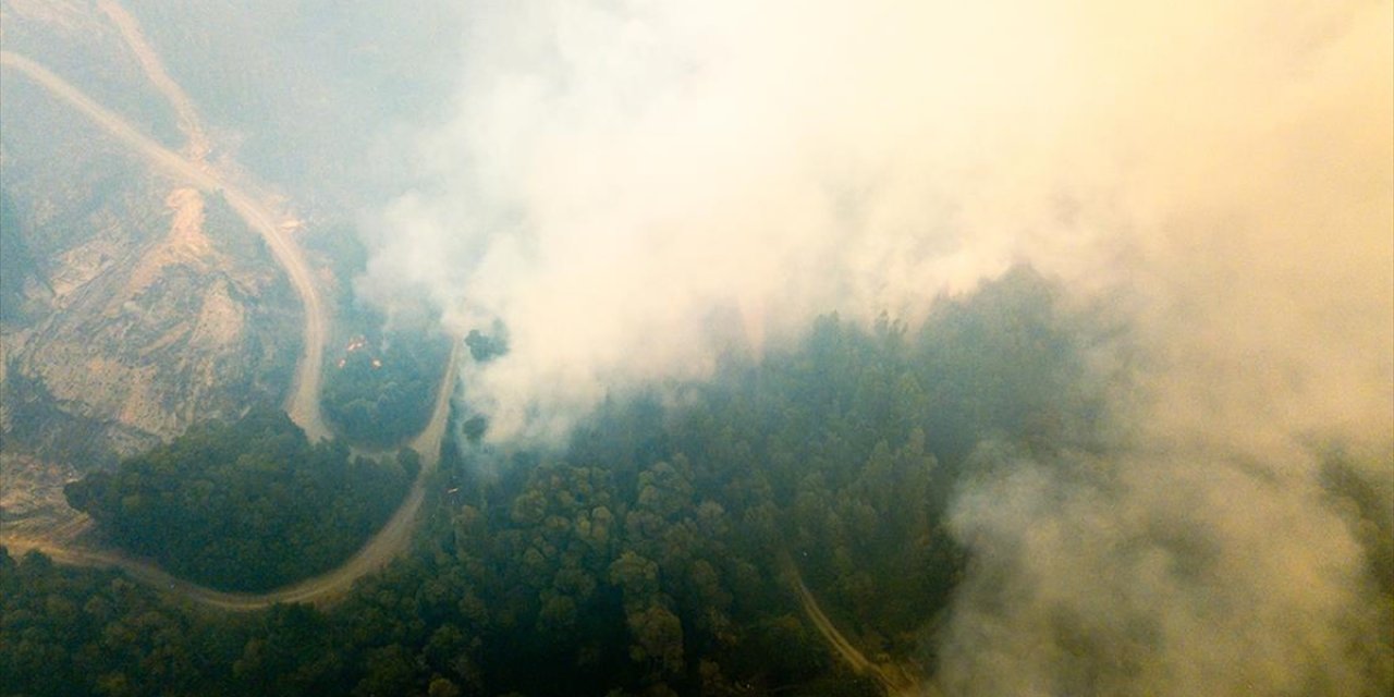 Orman yangınlarında 3 bin hektarlık alan kül oldu