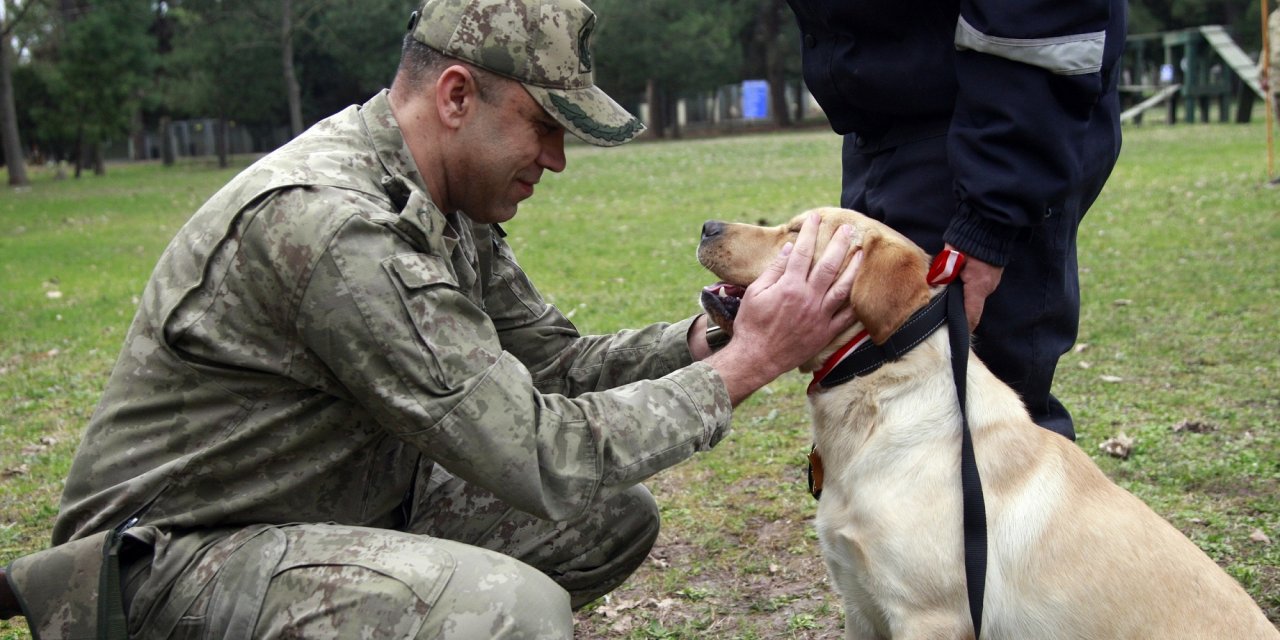 TSK’nın arama köpekleri 78 kişiyi kurtardı; 'sessiz kahramanlar' madalya ile ödüllendirildi