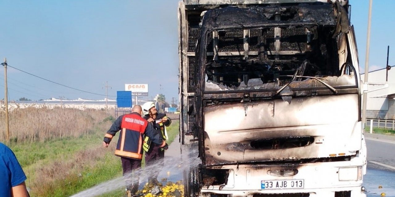 Limon yüklü kamyonda çıkan yangın maddi hasara neden oldu