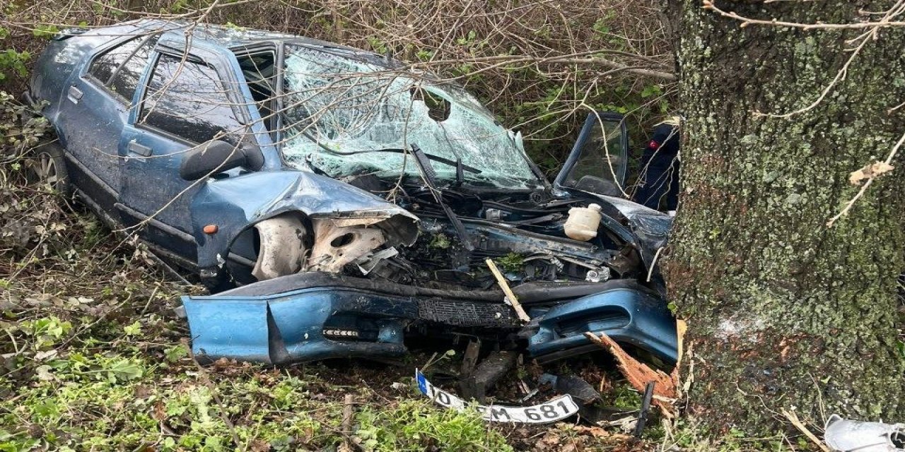 Yoldan çıkan otomobil ağaca çarptı: 2 kişi hayatını kaybetti