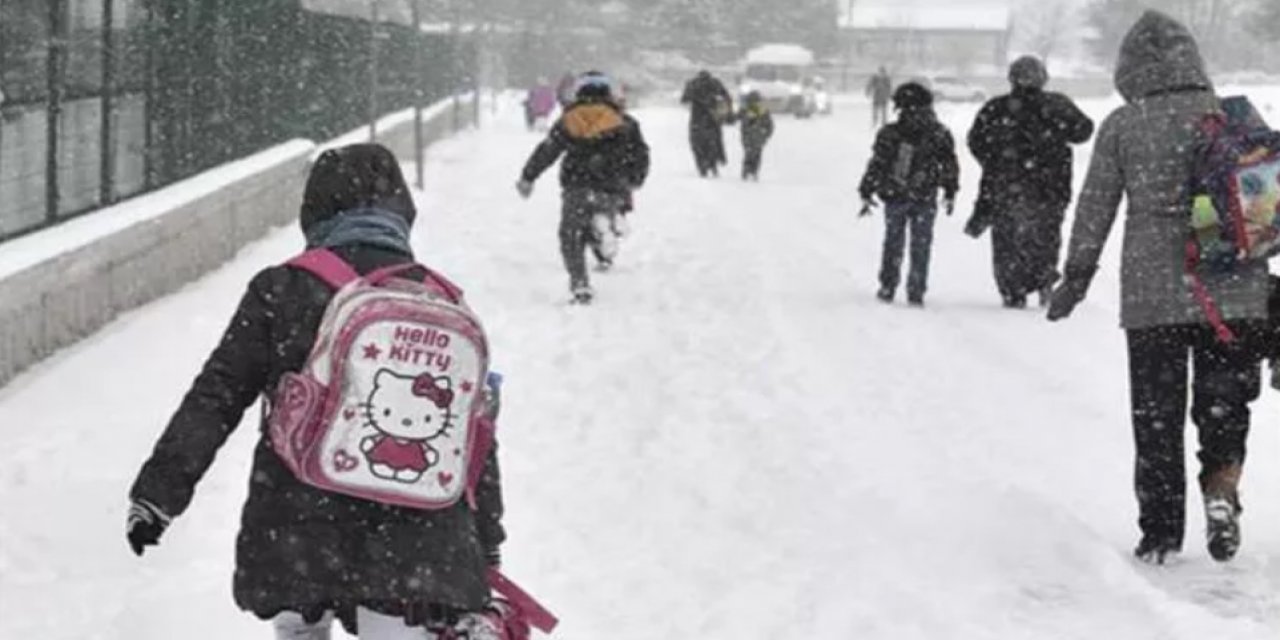Ordu'da eğitime 'kar' engeli; 7 ilçede okullar tatil