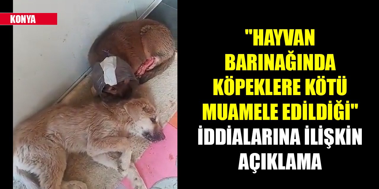 Konya'da "hayvan barınağında köpeklere kötü muamele edildiği" iddialarına ilişkin açıklama