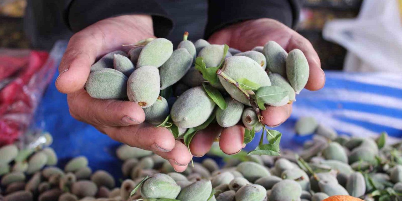 Çağla, bu fiyata tezgahlara indi