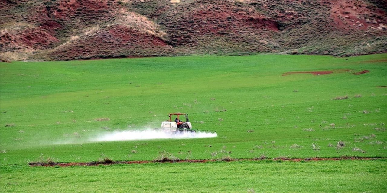 Olağanüstü kurak periyodu atlatan Kırıkkale'de çiftçiler ilkbahar yağışlarıyla nefes aldı