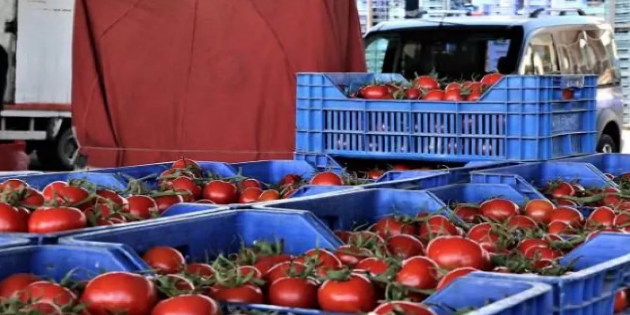 Bakanlık paylaştı! 77 bin TL ceza kesildi