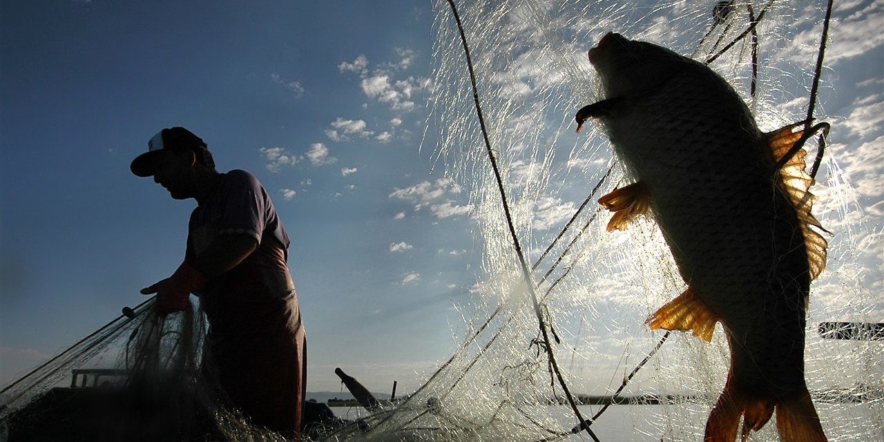 Balıkçılıkta av yasağı başlıyor