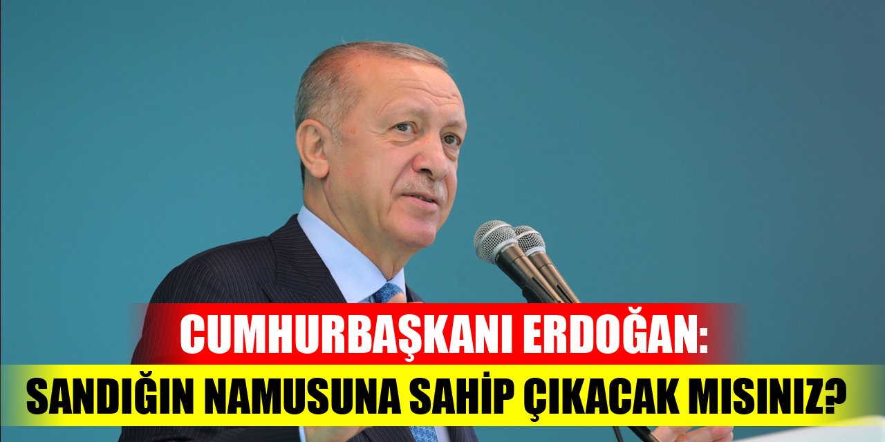 Cumhurbaşkanı Erdoğan: Sandığın namusuna sahip çıkacak mısınız?