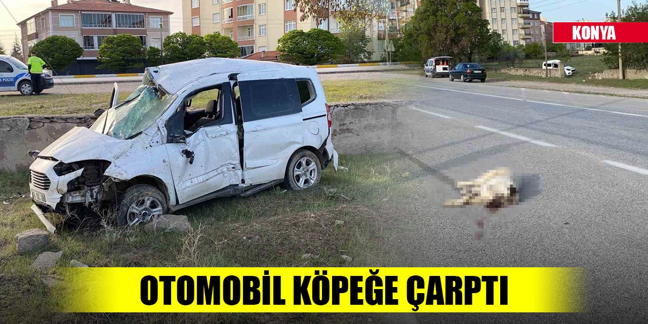 Konya'da köpeğe çarpan hafif ticari araç takla attı