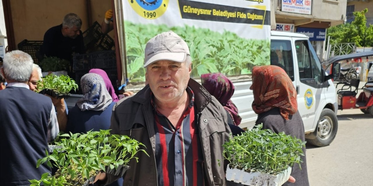 Konya'nın o ilçesinde üreticilere sebze fidesi desteği