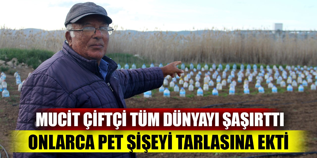 Mucit çiftçi tüm dünyayı şaşırttı; Onlarca pet şişeyi tarlasına ekti