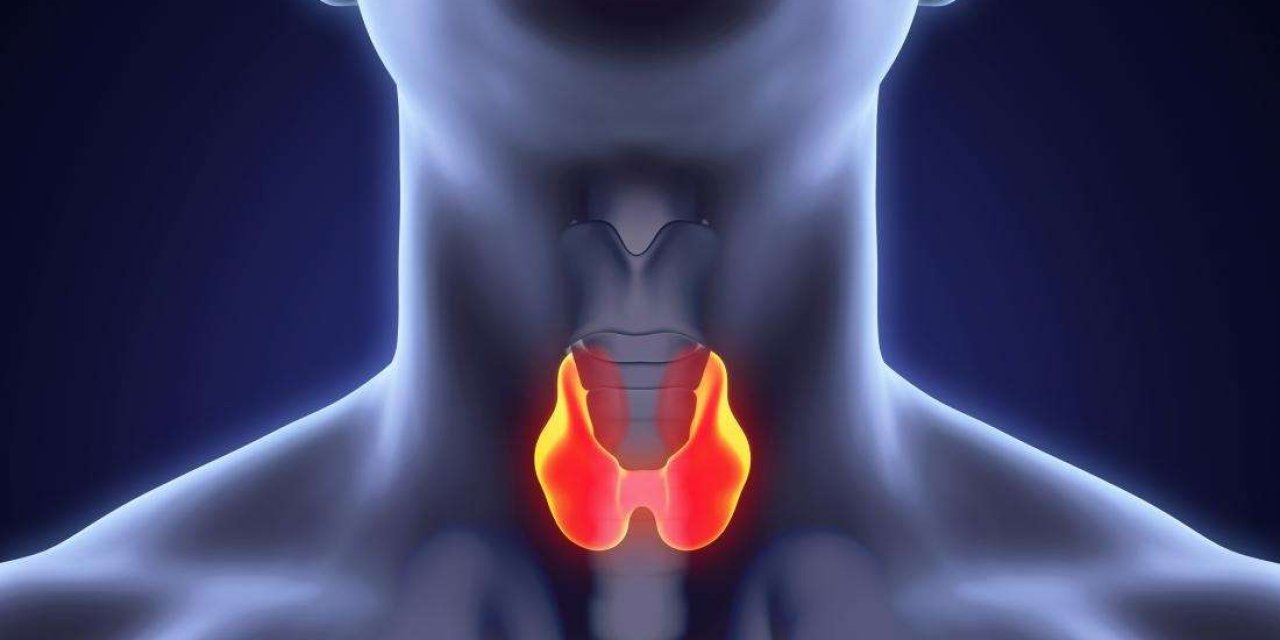 Tiroid ile ilgili merak edilen 10 soru