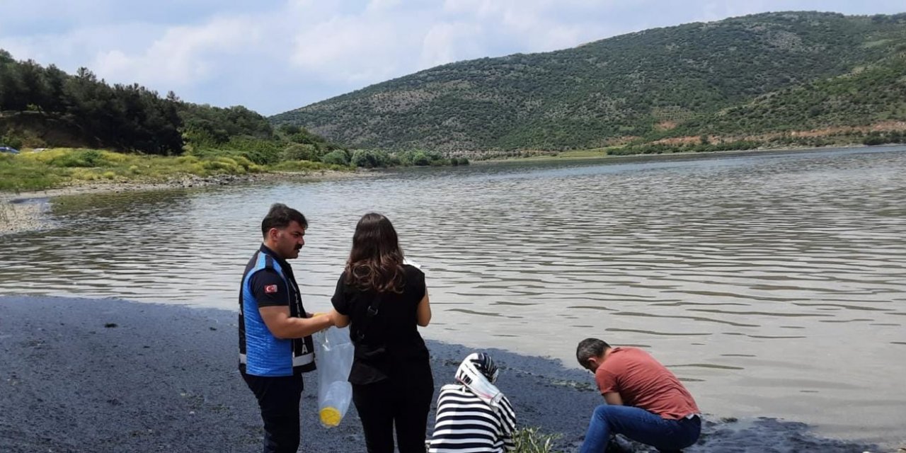 Bursa'da, Boğazköy Barajı'nın yüzeyi siyaha büründü