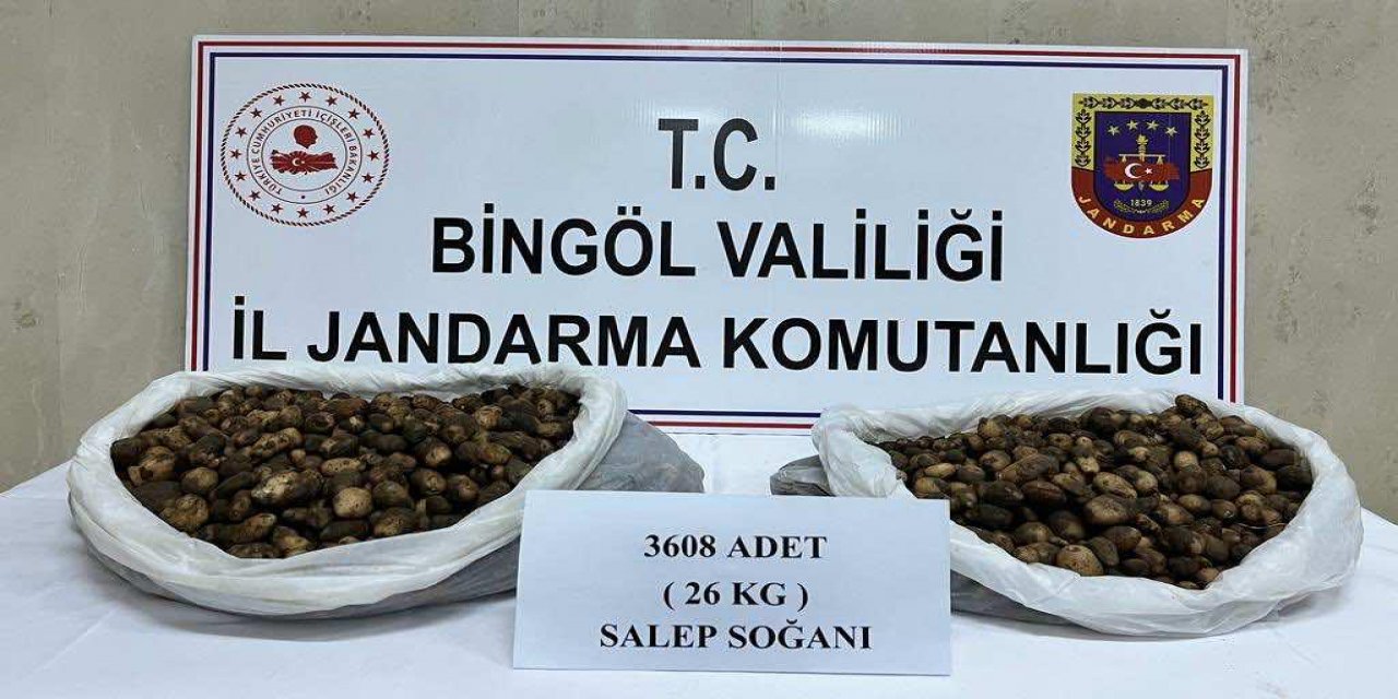 Bingöl’de kaçak salep soğanı toplayan 2 kişiye 488 bin 630 lira ceza