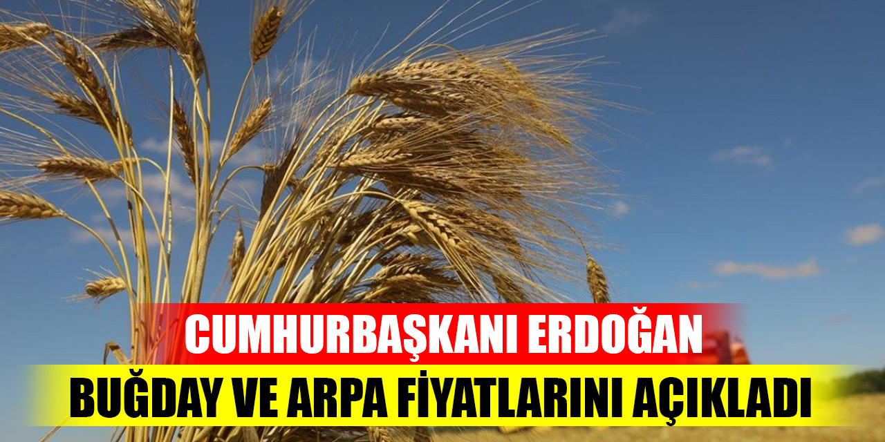 Cumhurbaşkanı Erdoğan buğday ve arpa fiyatlarını açıkladı