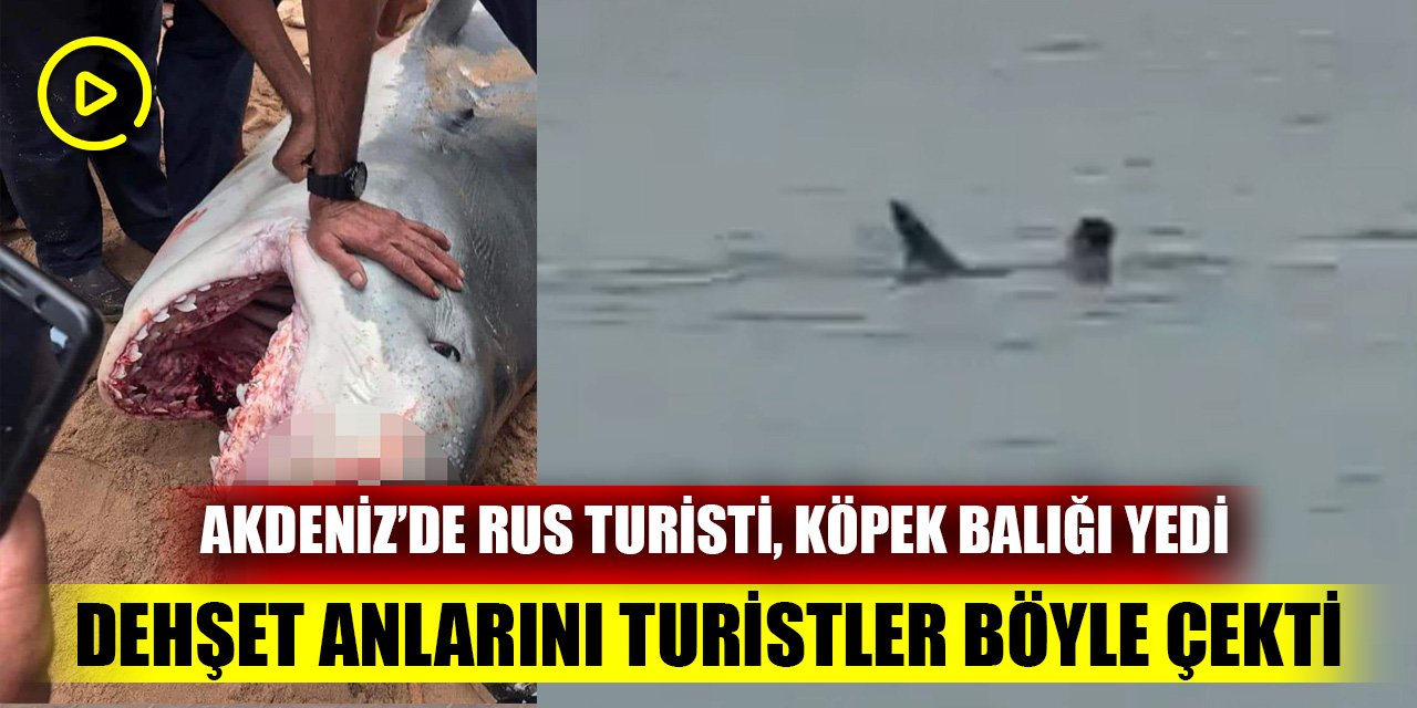 Akdeniz’de Rus turisti köpek balığı yedi; Dehşet anlarını Turistler böyle çekti