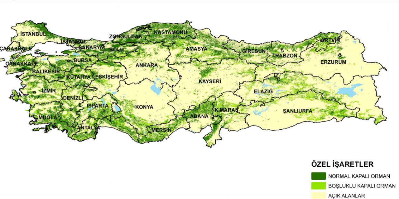 Türkiye'nin en yeşil kentleri belli oldu