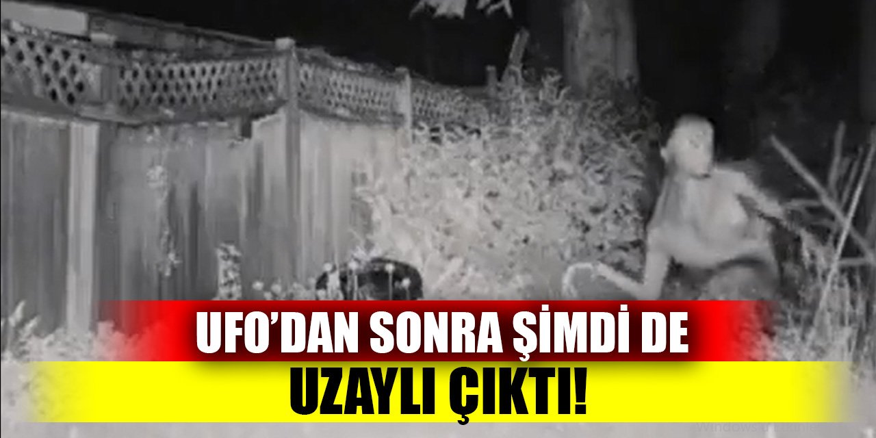 UFO’dan sonra şimdi de uzaylı