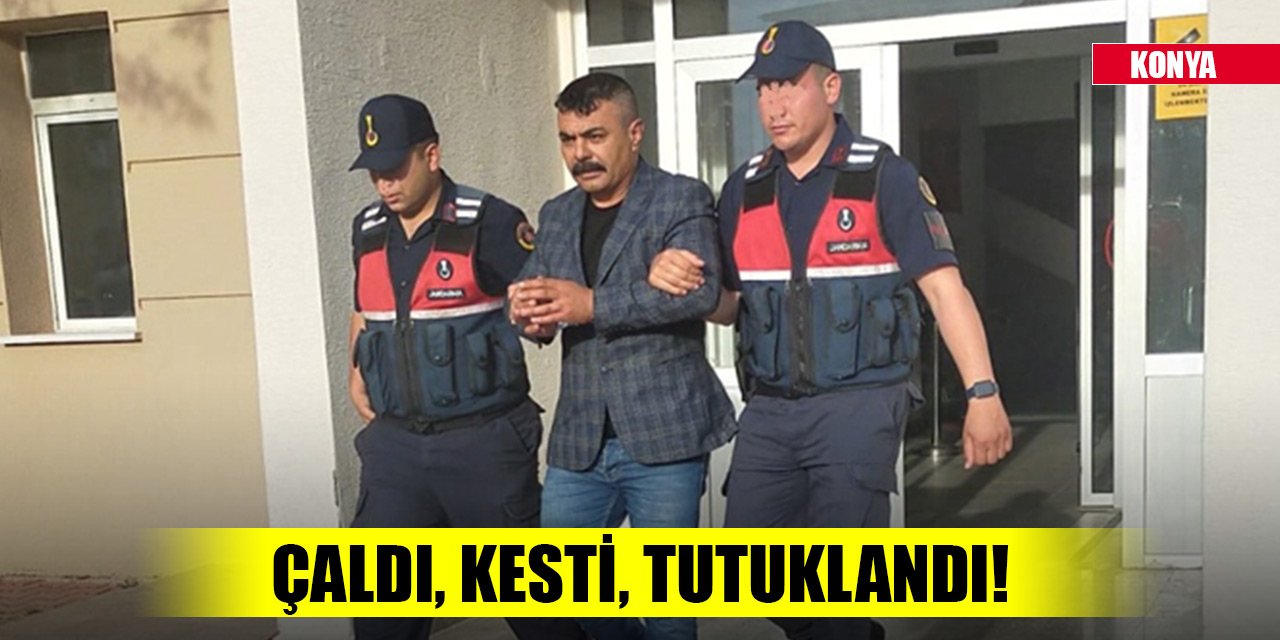 Konya'da hırsızlık! Çaldı, kesti, tutuklandı