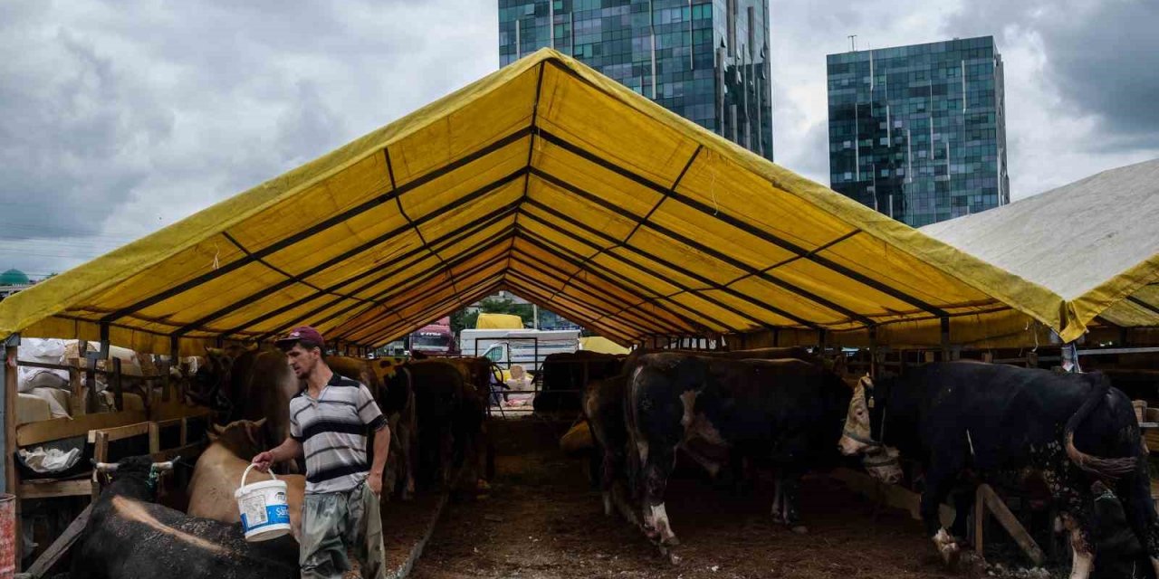 Kurbanlıklar görücüye çıktı. Pazarlıklar başladı