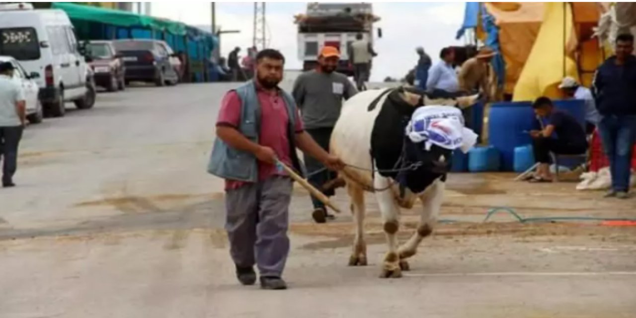 Resmi açıklama yapıldı! O ilimizde kurban pazarı kurulmayacak!