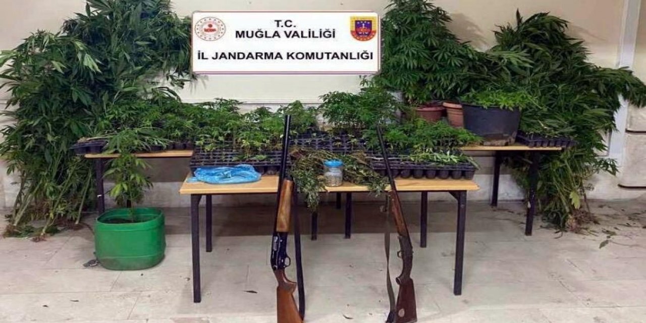 Muğla'da 5 ilçede eş zamanlı uyuşturucu operasyonu: 27 gözaltı