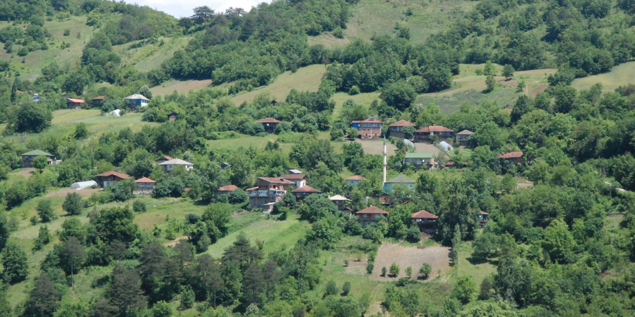 15 köy gözetim bölgesi ilan edildi