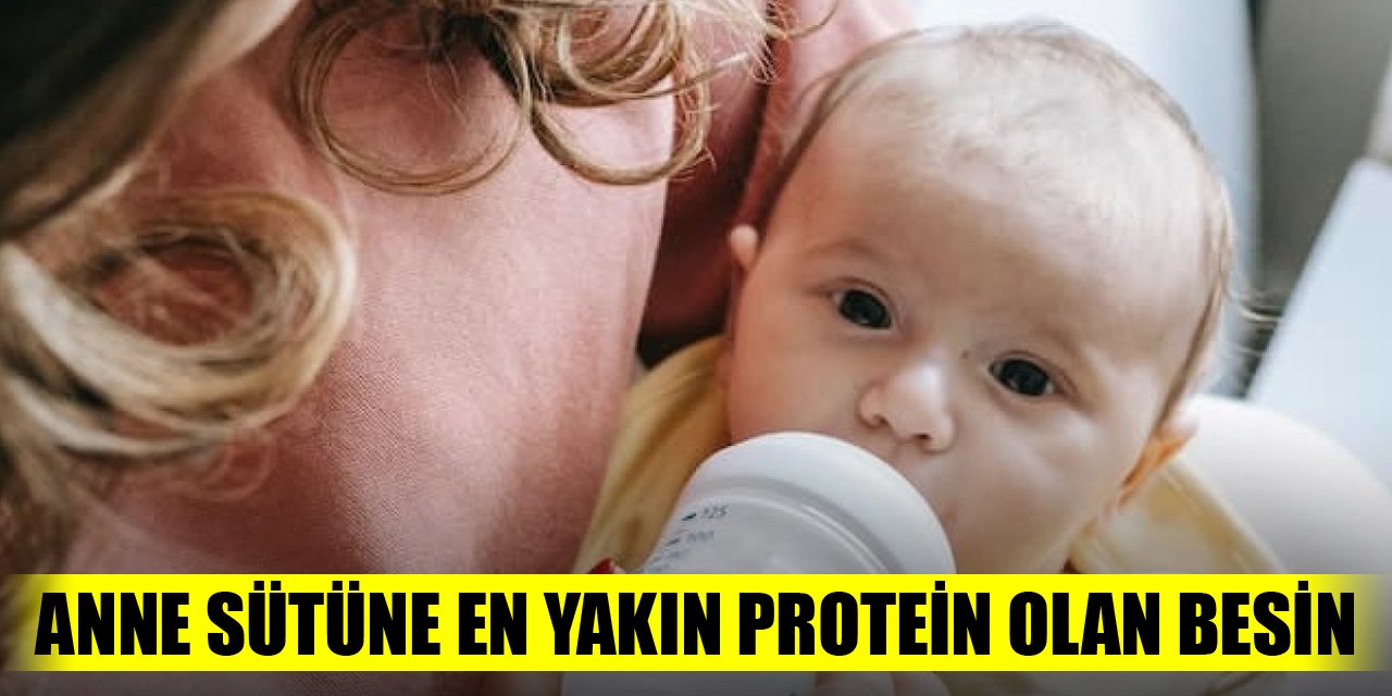 Anne sütüne en yakın protein olan besin