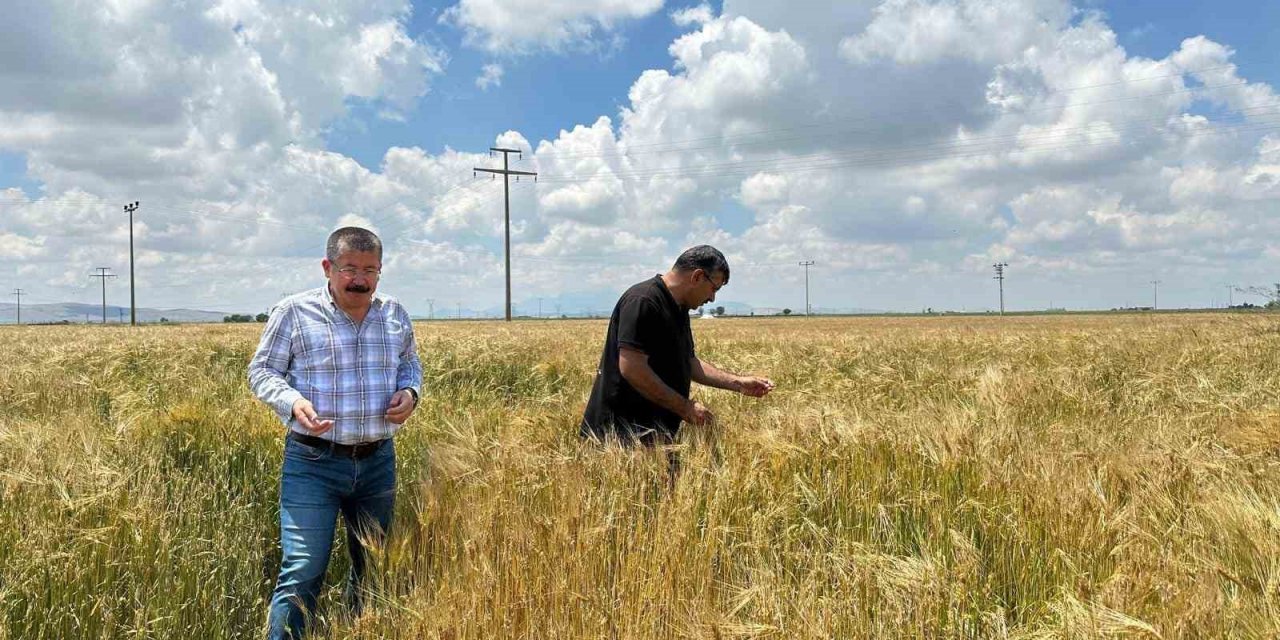 Konya Karapınar’da yoğun yağış alan tarım alanları incelendi