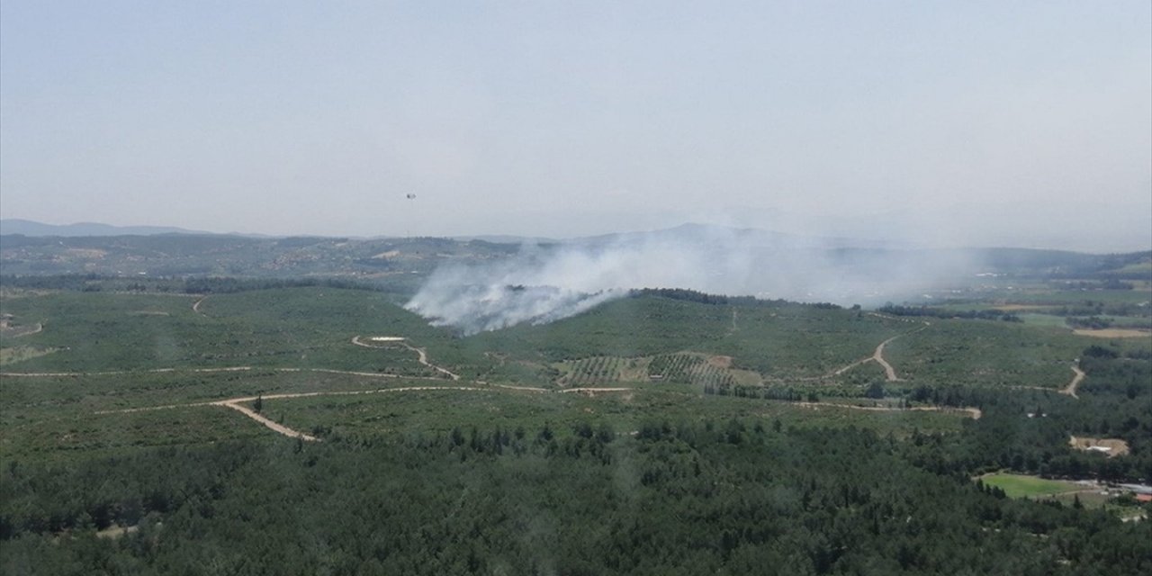 İzmir'de çıkan orman yangın kontrol altında