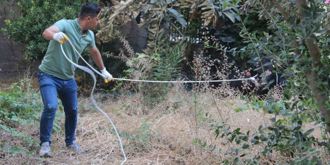 Kaçan büyükbaş kurbanlık zor anlar yaşattı