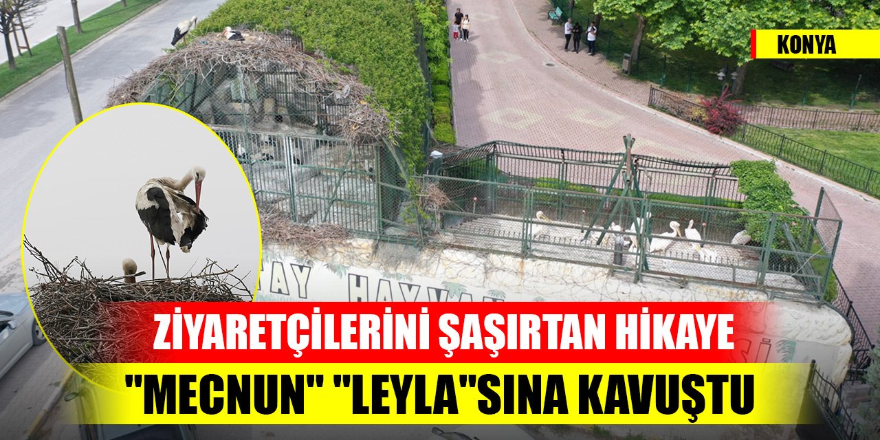 Konya'da şaşırtan hikaye... "Mecnun" "Leyla"sına kavuştu