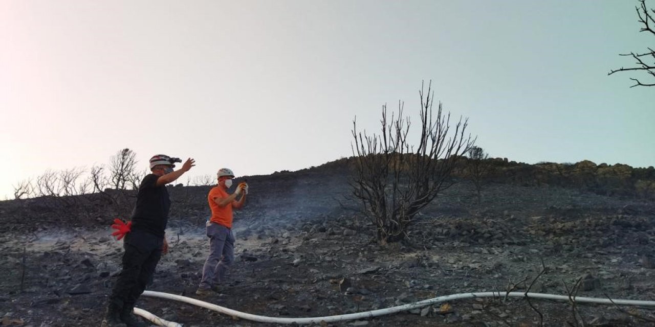 Datça’daki orman yangınında 25 hektarlık alan zarar gördü