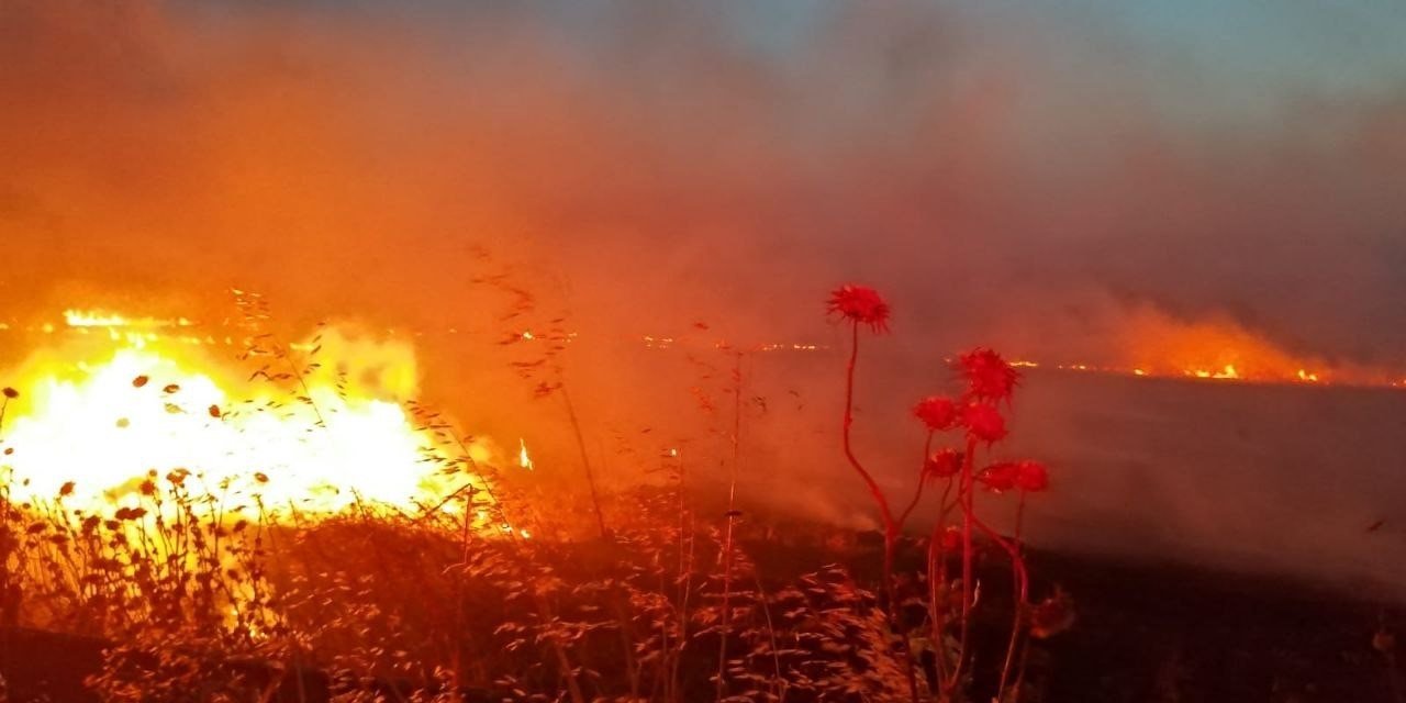 Gönen’de anız yangını, 60 dönüm yer kül oldu