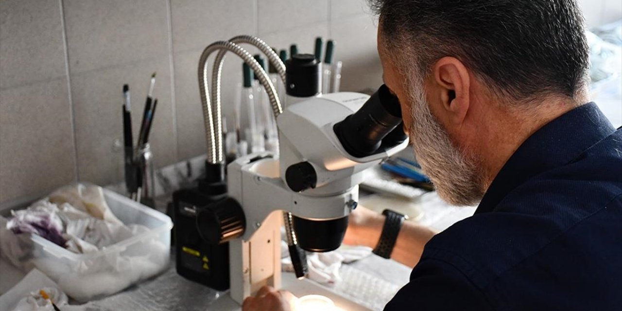 Türk bilim insanları yeni bir parazit türü keşfetti
