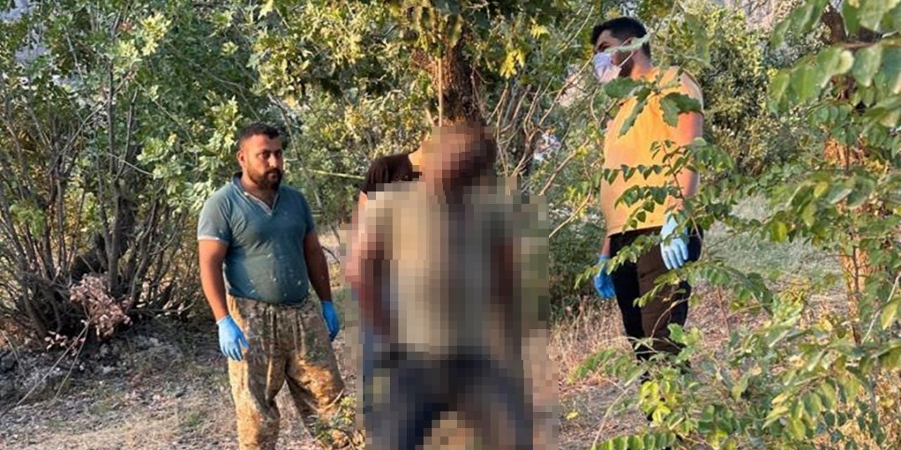 İple ağaca asılmış, işkence görmüş erkek cesedi bulundu