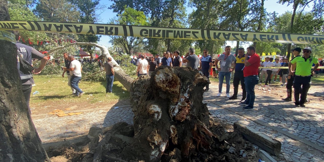 Kırkpınar'ın yapıldığı Sarayiçi'nde ağaç devrildi: 2 yaralı