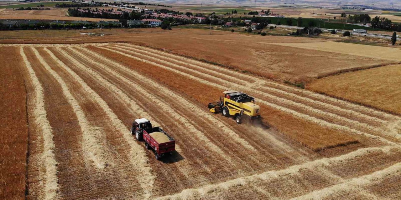 Çiftçi umduğundan daha fazla ürün aldı