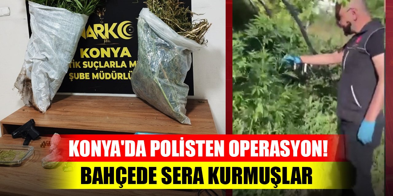 Konya'da polisten operasyon! Bahçede sera kurmuşlar