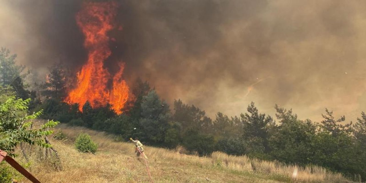 Orman yangınlarıyla ilgili şüpheliler tespit edildi