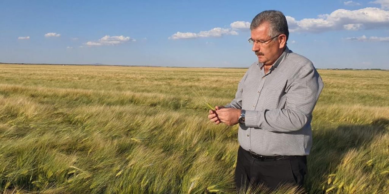 Konya'da hasat yapan çiftçilere uyarı