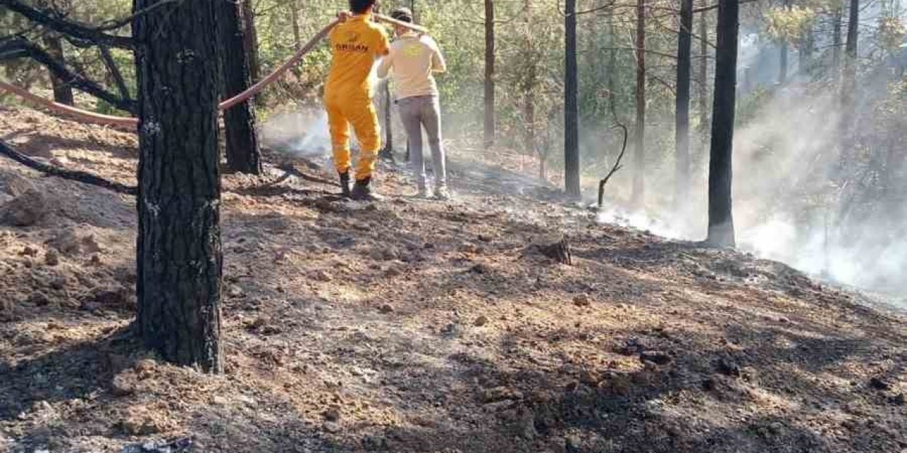 Adana’da orman yangını, büyümeden kontrol altına alındı
